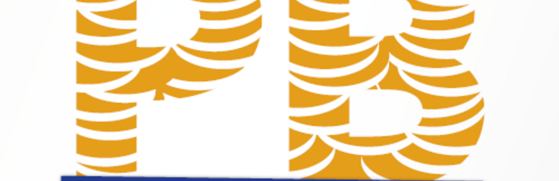 Logo Persönliches Budget-Mehr als Geld